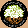 rhizoecology - Tree Root Ecology